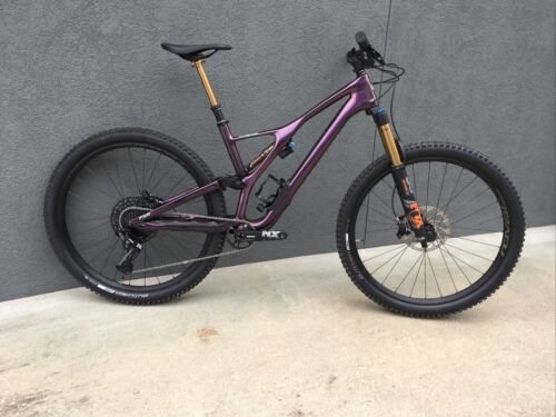 2020 s works stumpjumper 29