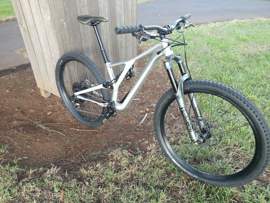2019 Specialized Stumpjumper EVO 29'er 