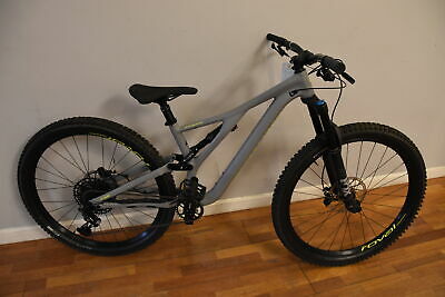 Specialized stumpjumper grey hot sale