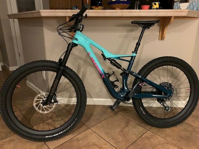 2018 s works stumpjumper